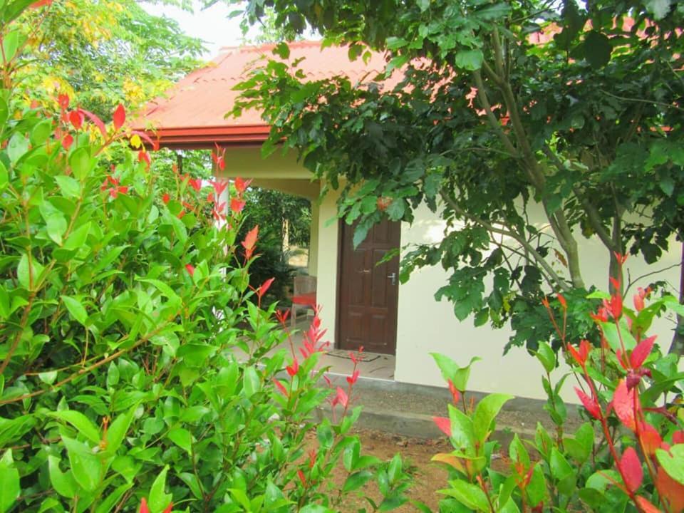 Hotel Tree Garden Wilpaththu Nochchiyagma Anuradhapura Nochchiyagama Dış mekan fotoğraf