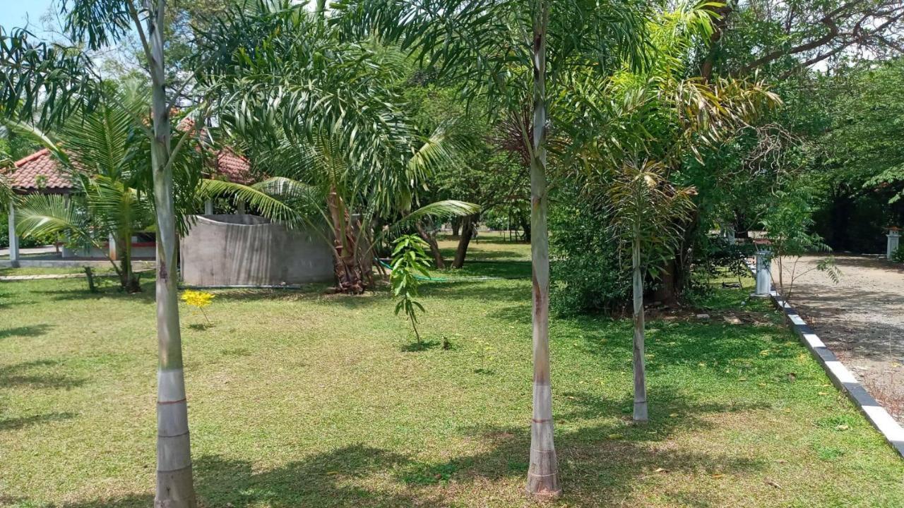 Hotel Tree Garden Wilpaththu Nochchiyagma Anuradhapura Nochchiyagama Dış mekan fotoğraf