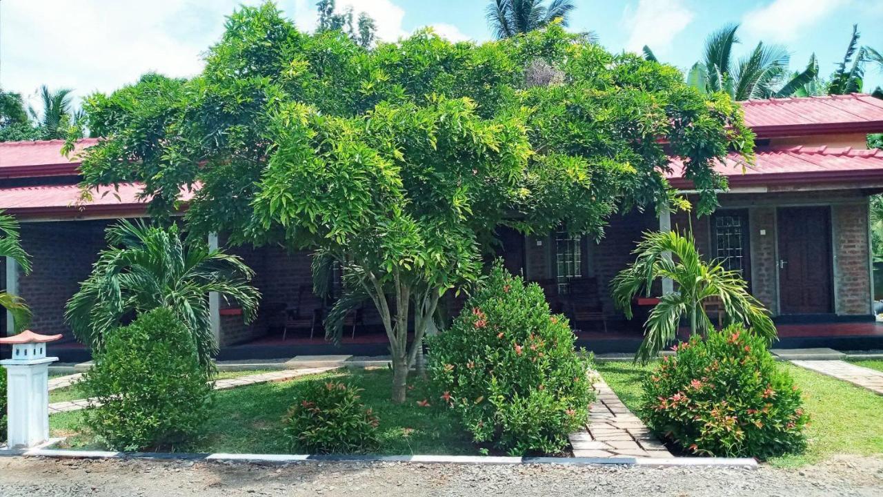 Hotel Tree Garden Wilpaththu Nochchiyagma Anuradhapura Nochchiyagama Dış mekan fotoğraf
