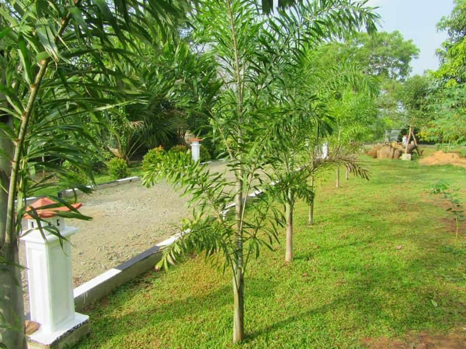 Hotel Tree Garden Wilpaththu Nochchiyagma Anuradhapura Nochchiyagama Dış mekan fotoğraf