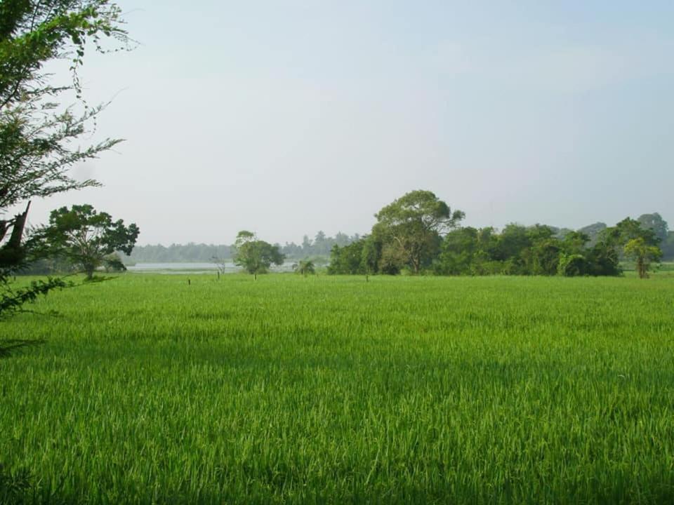 Hotel Tree Garden Wilpaththu Nochchiyagma Anuradhapura Nochchiyagama Dış mekan fotoğraf