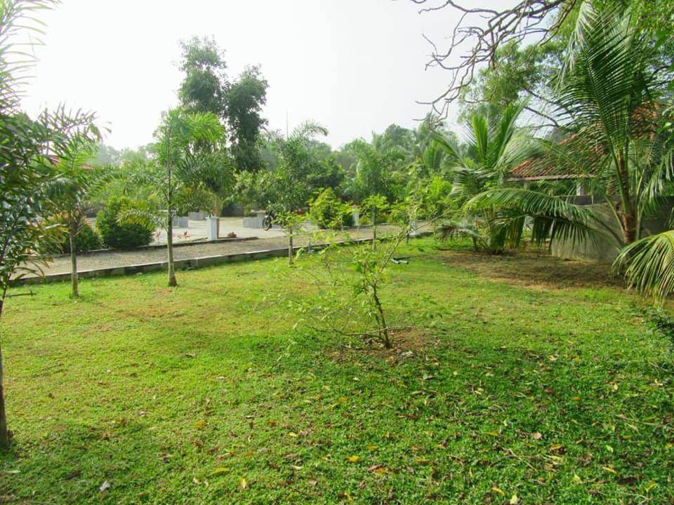Hotel Tree Garden Wilpaththu Nochchiyagma Anuradhapura Nochchiyagama Dış mekan fotoğraf