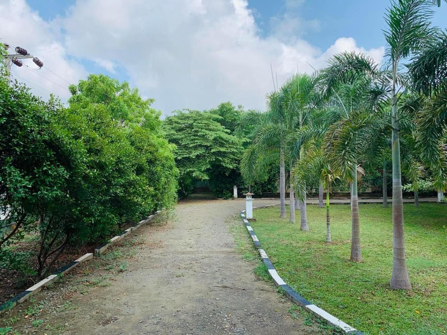 Hotel Tree Garden Wilpaththu Nochchiyagma Anuradhapura Nochchiyagama Dış mekan fotoğraf