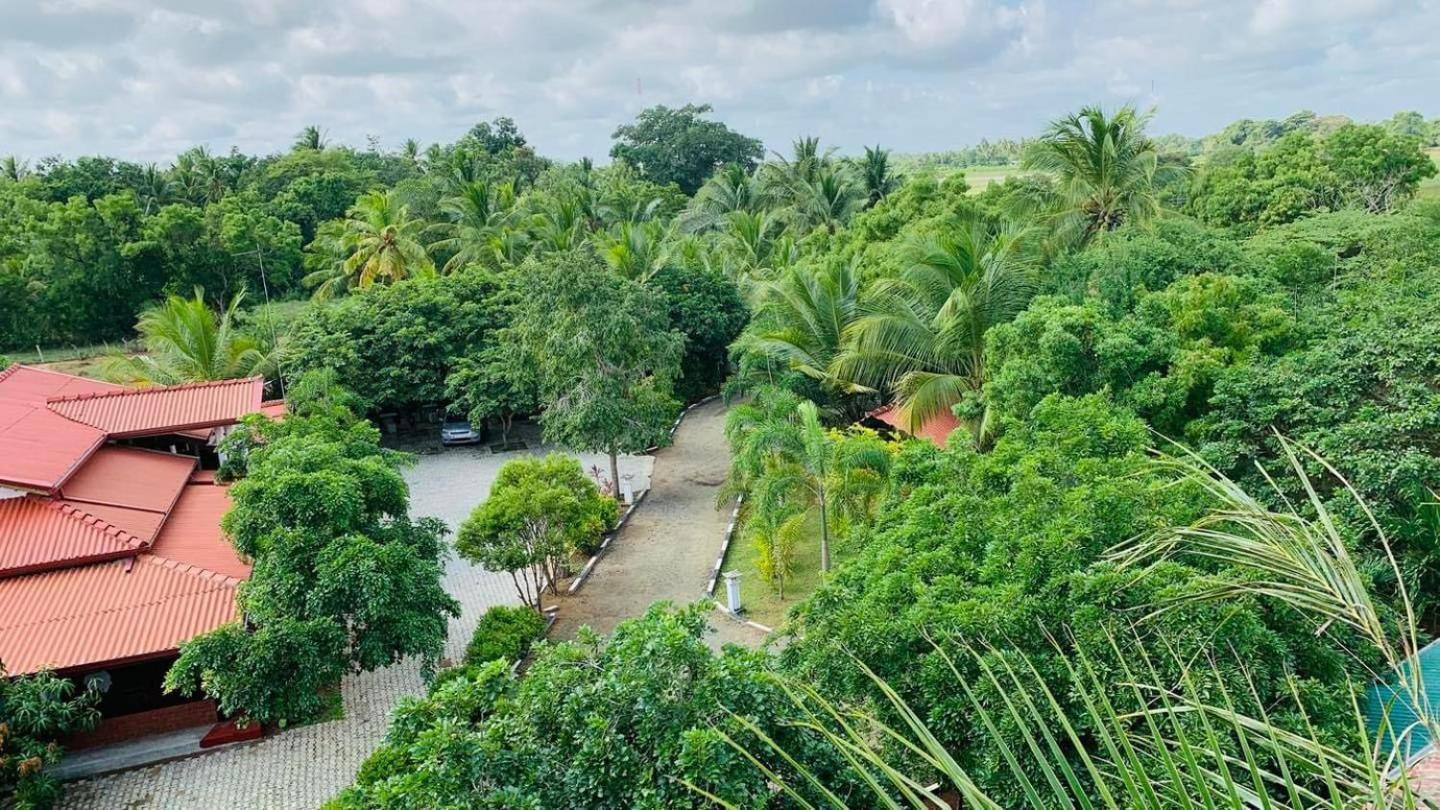Hotel Tree Garden Wilpaththu Nochchiyagma Anuradhapura Nochchiyagama Dış mekan fotoğraf