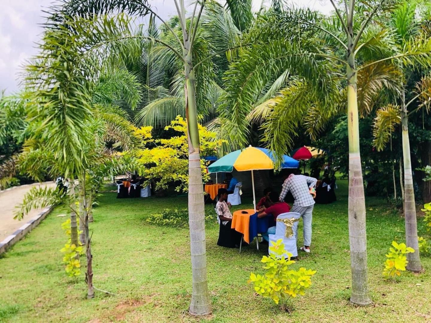 Hotel Tree Garden Wilpaththu Nochchiyagma Anuradhapura Nochchiyagama Dış mekan fotoğraf
