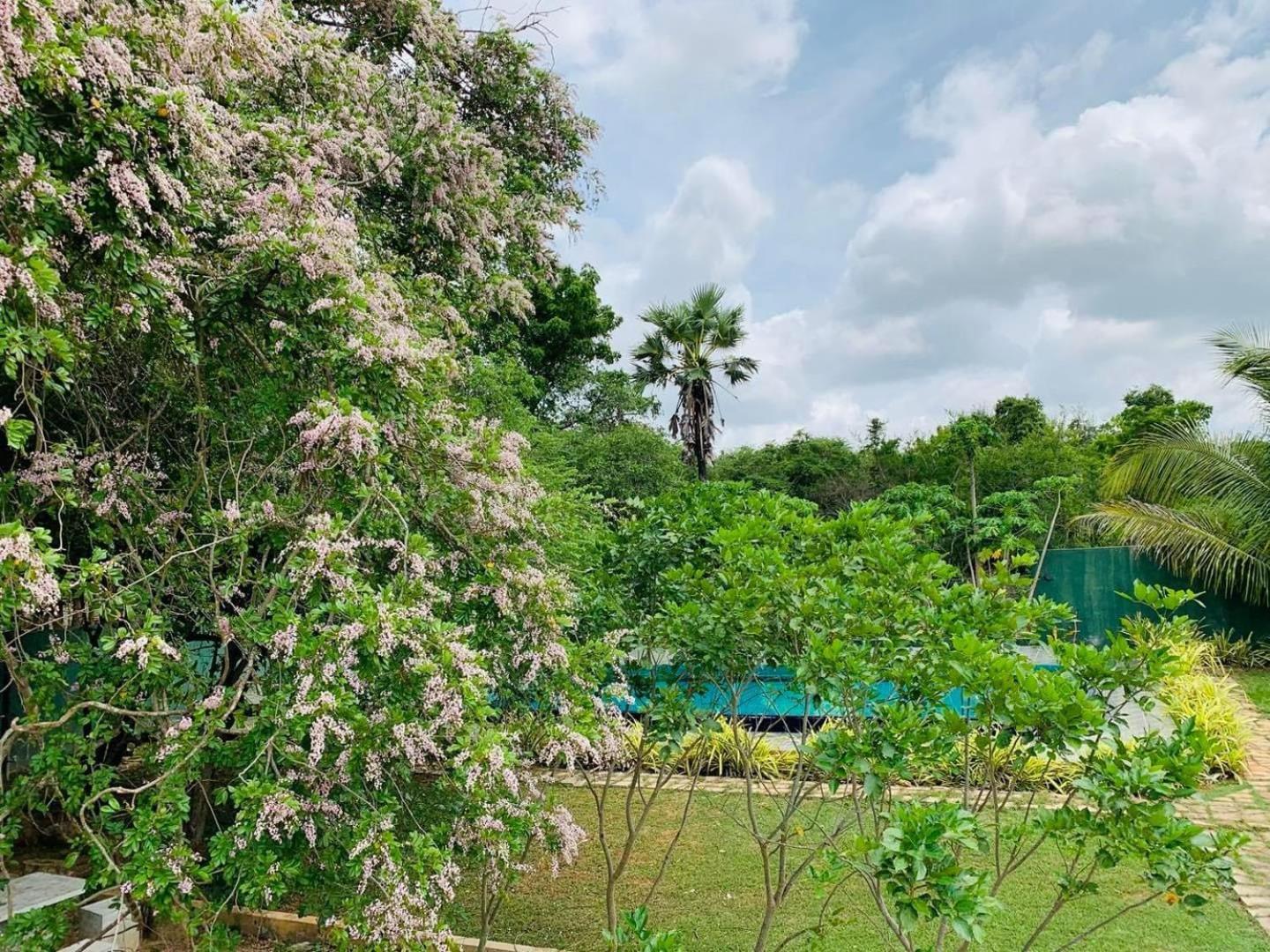 Hotel Tree Garden Wilpaththu Nochchiyagma Anuradhapura Nochchiyagama Dış mekan fotoğraf