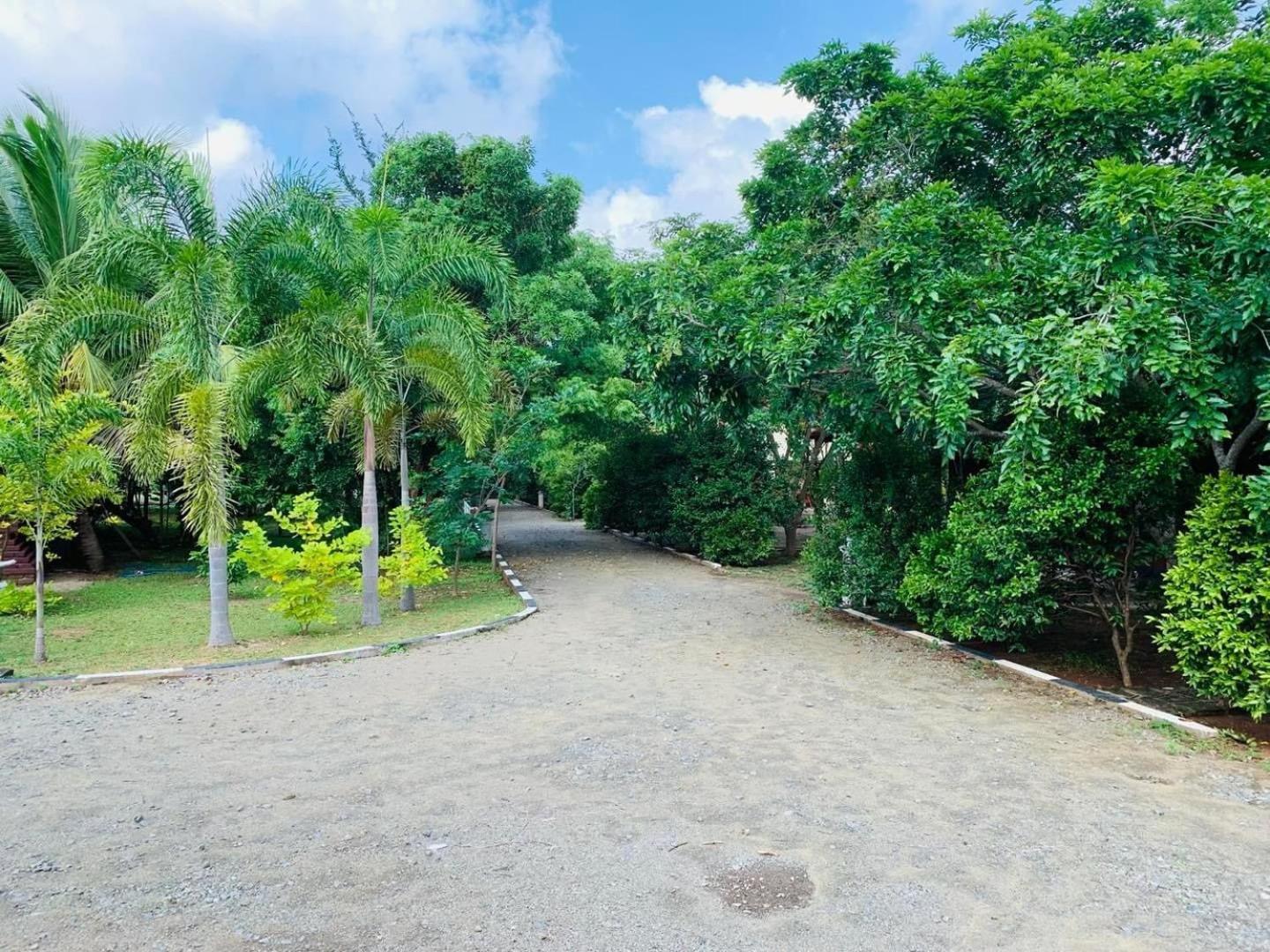 Hotel Tree Garden Wilpaththu Nochchiyagma Anuradhapura Nochchiyagama Dış mekan fotoğraf