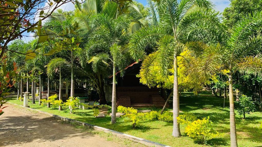 Hotel Tree Garden Wilpaththu Nochchiyagma Anuradhapura Nochchiyagama Dış mekan fotoğraf