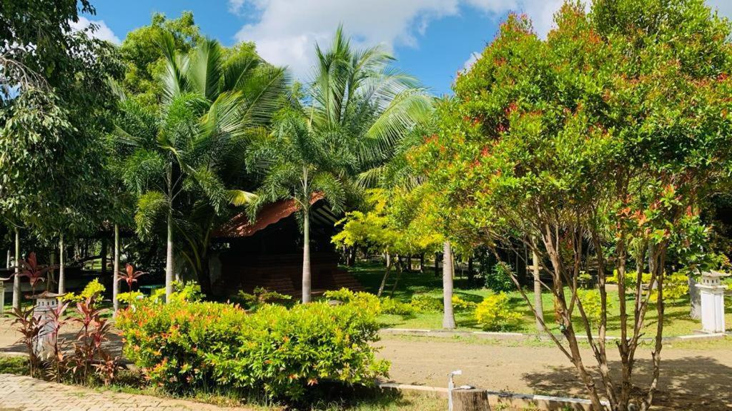 Hotel Tree Garden Wilpaththu Nochchiyagma Anuradhapura Nochchiyagama Dış mekan fotoğraf